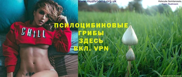 a pvp Алзамай