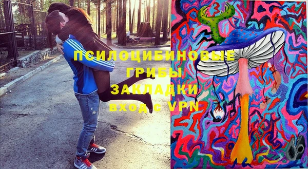 a pvp Алзамай