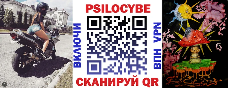 купить   Когалым  Псилоцибиновые грибы Psilocybine cubensis 